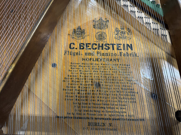 C. Bechstein A 190 cm - Afbeelding 3