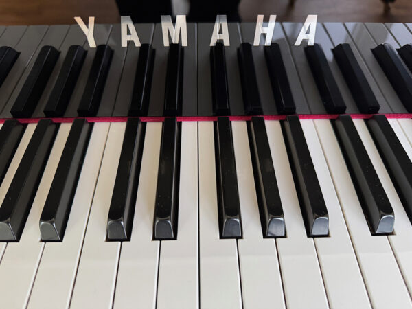 Yamaha AvantGrand N1 - Afbeelding 3